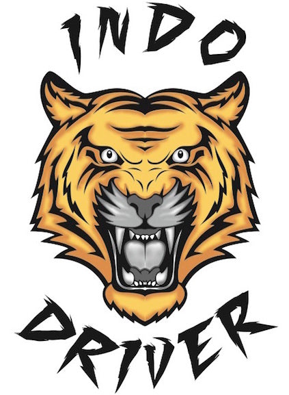 Mason and the Lost Indo Driver