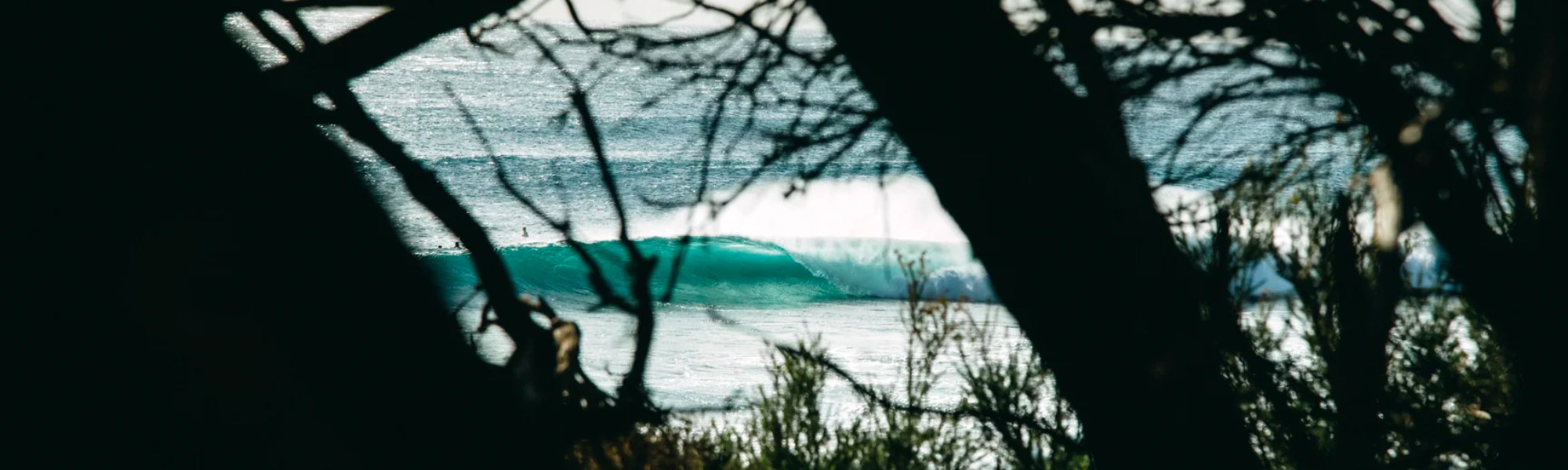 All Surfboard Fins