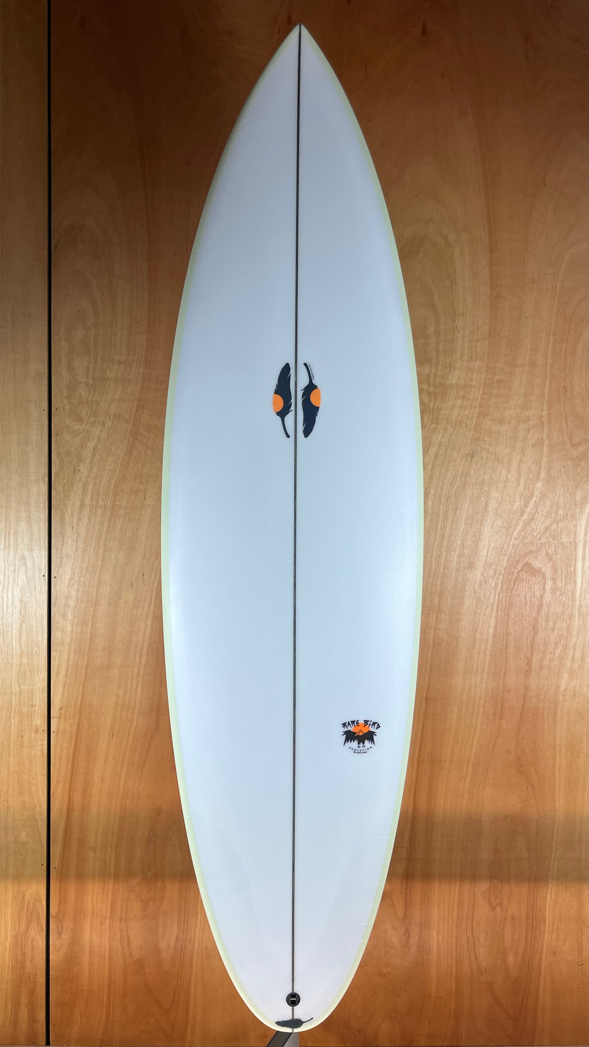 Chilli / RARE BIRD EVO PU - Board Store ChilliSurfboard