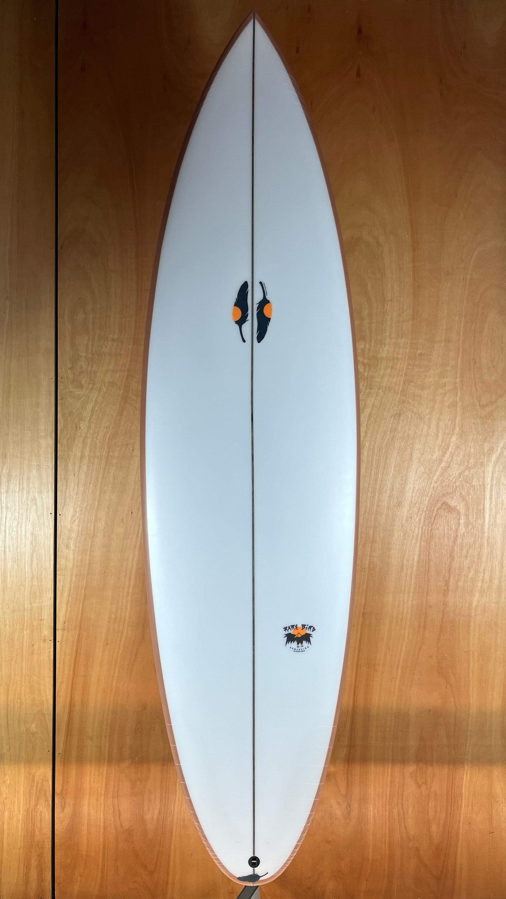 Chilli / RARE BIRD EVO PU - Board Store ChilliSurfboard