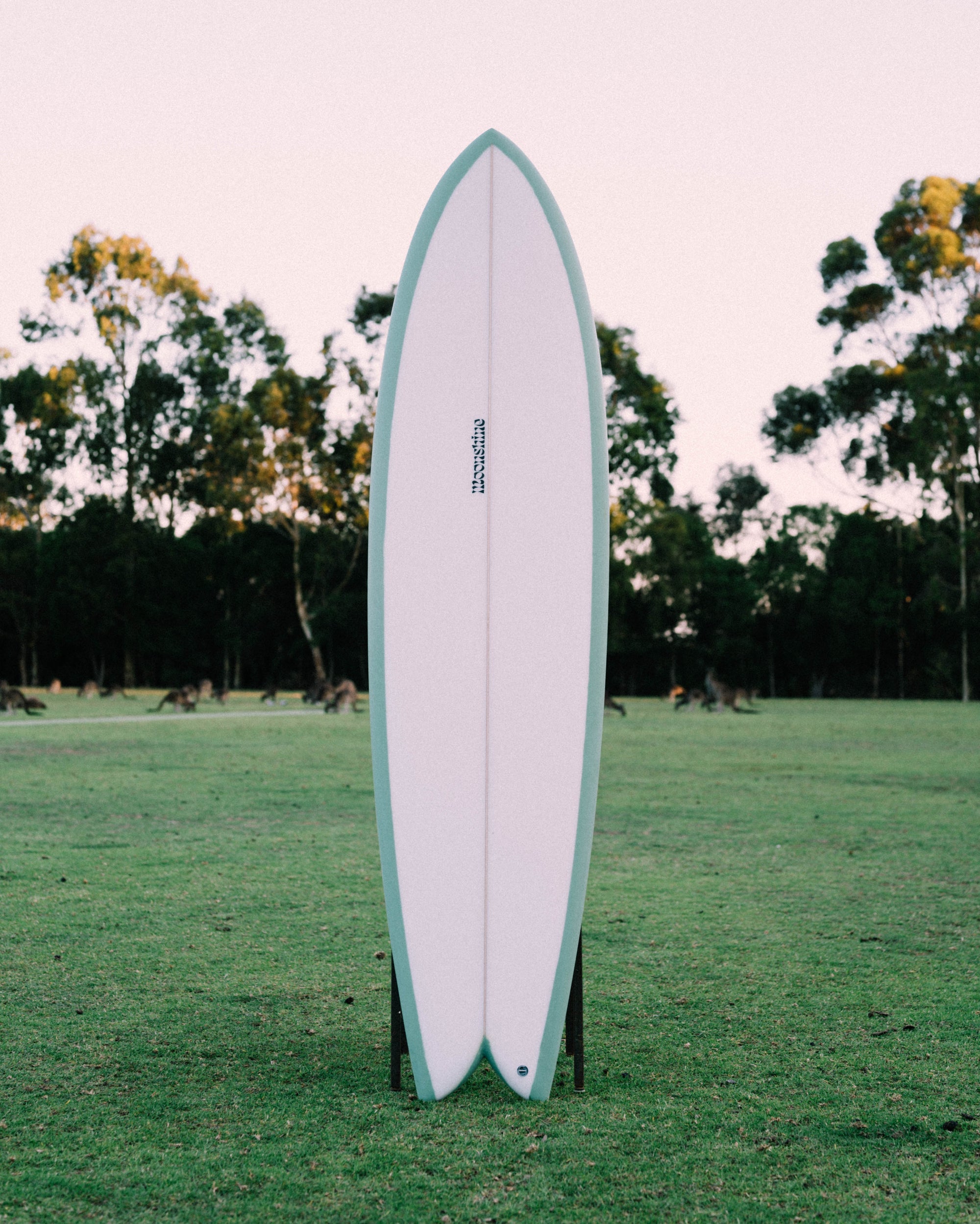 Moonshine Long Fish Twin - Board Store MoonshineSurfboard