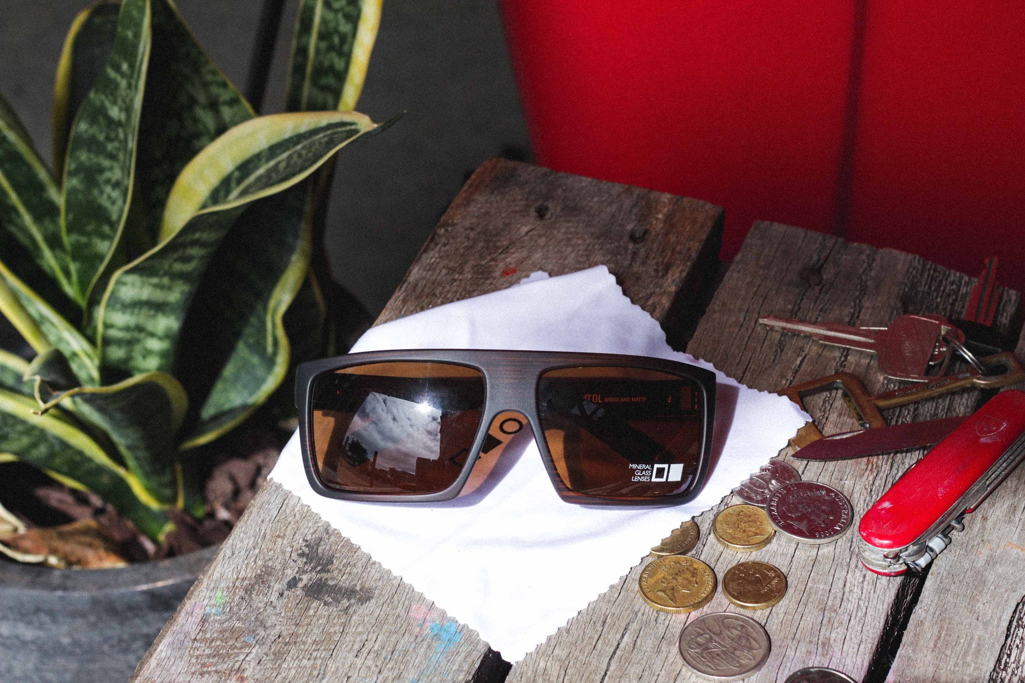 Otis Capitol Woodland Matte/Brown - Board Store Otis EyewearSunglasses