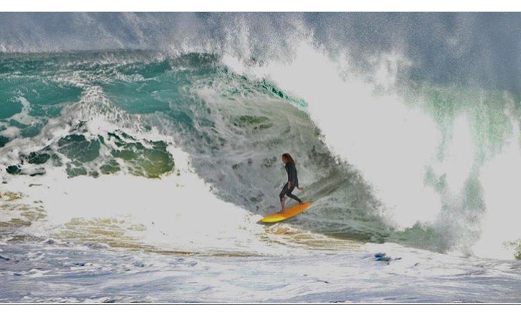 CATCH SURF/RABBITS BASH