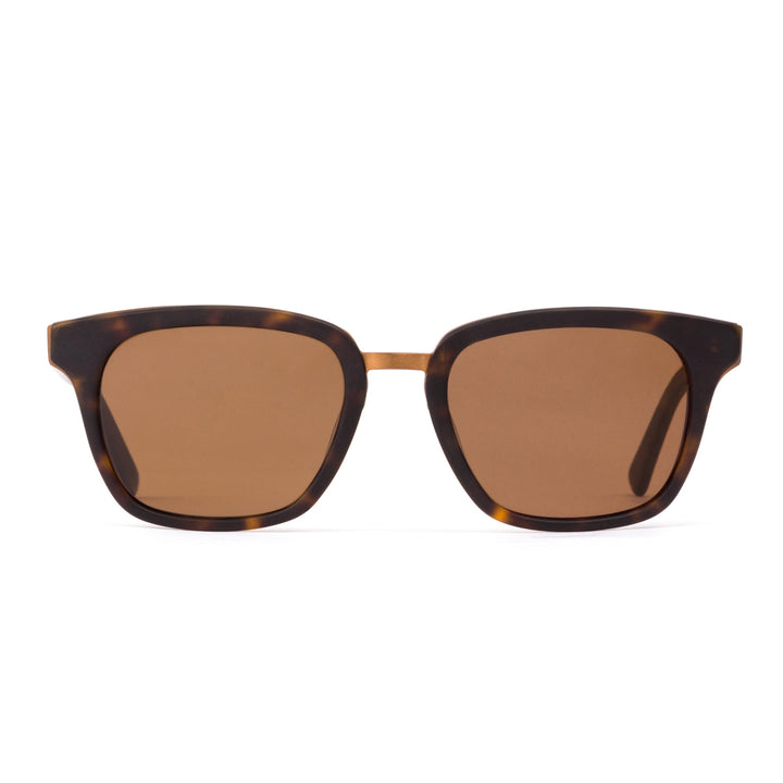 OTIS - FICTION - Matte Dark Tort / Brown - Board Store Otis EyewearSunglasses  