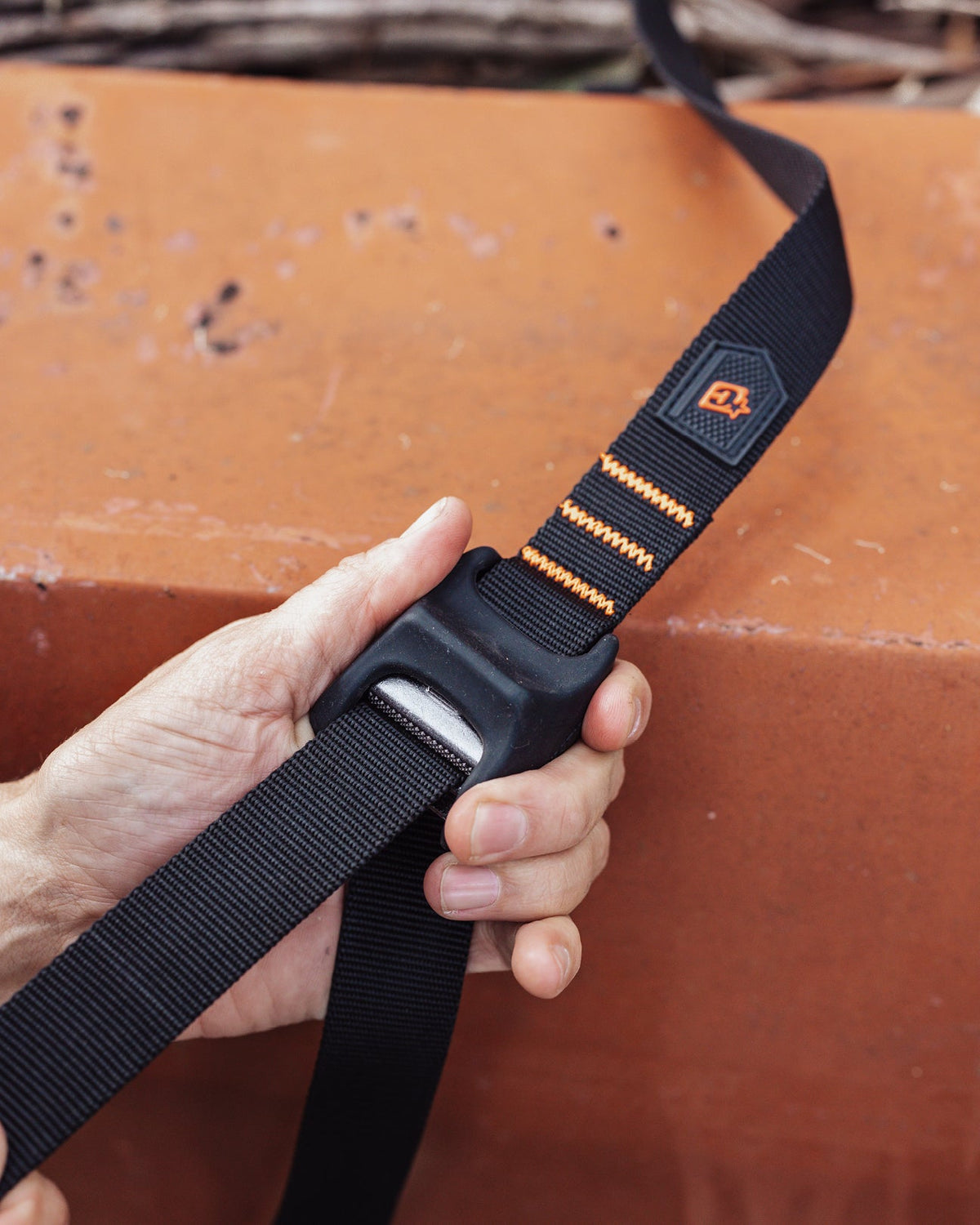 Creatures Tie Down Straps, flat lay