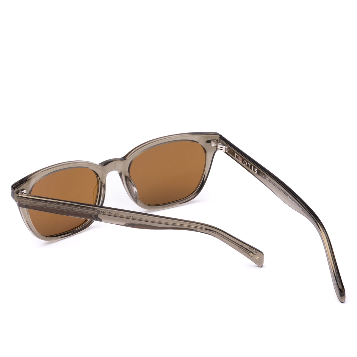 Otis Chorus Sunglasses in Eco Crystal Fern / Brown, detail view