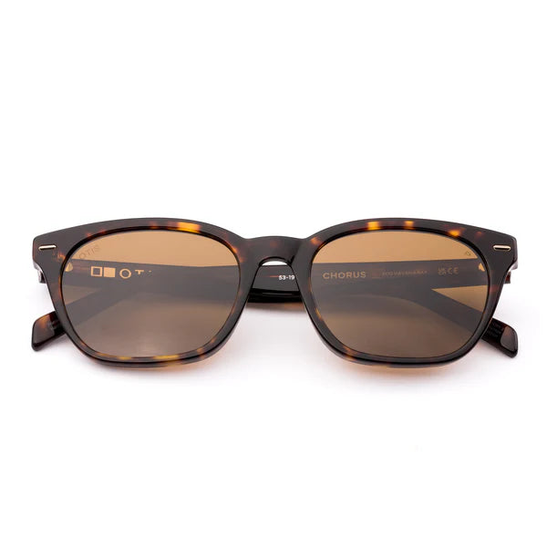 OTIS - CHORUS Eco Havana Ray / Brown Polar