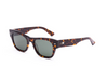 OTIS / OUT OF SIGHT / ECO HAVANA RAY / GREY - Board Store Otis EyewearSunglasses