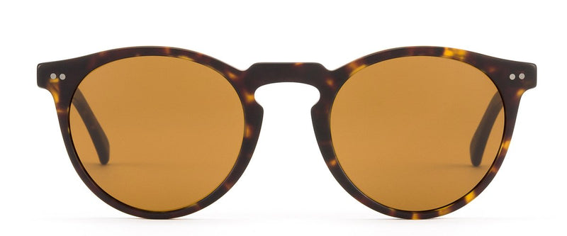 Otis Omar Matte Dark Tort/Brown - Board Store Otis EyewearSunglasses  