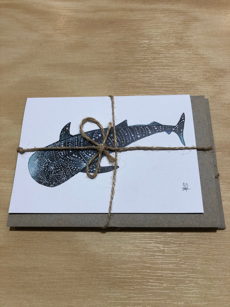 Whale Gift Cards - Board Store OccysGift Card  